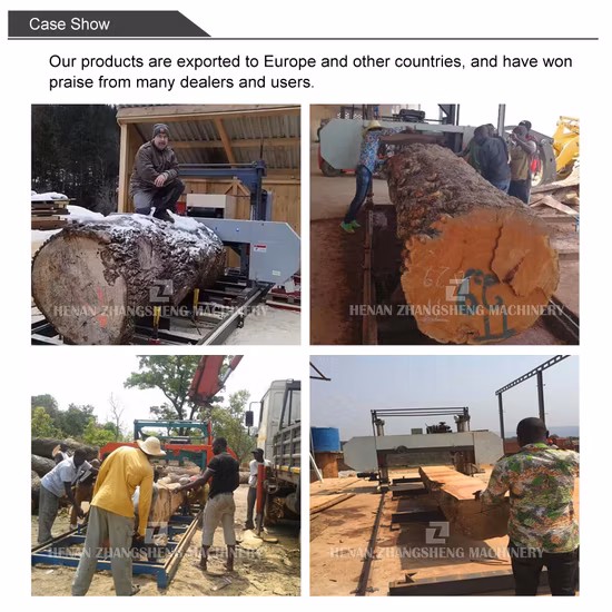 Scie à ruban portative pour le travail du bois, nouveau design, scie à chaîne horizontale